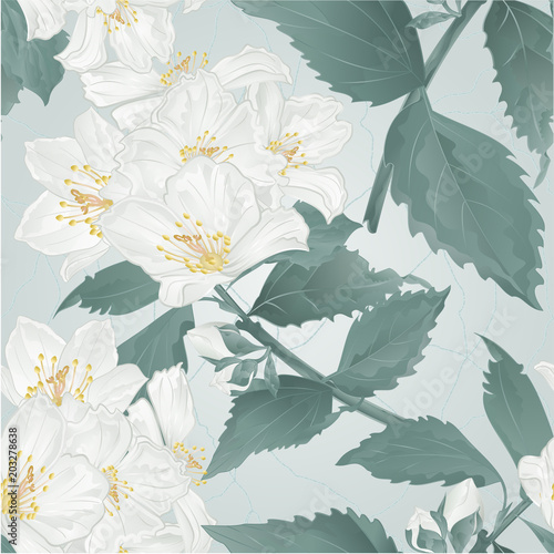 Tapety Bezszwowa tekstury gałązki wiosny kwiatu jaśmin i pączki pękają rocznik wektorowy ilustracyjny editable ręka remis