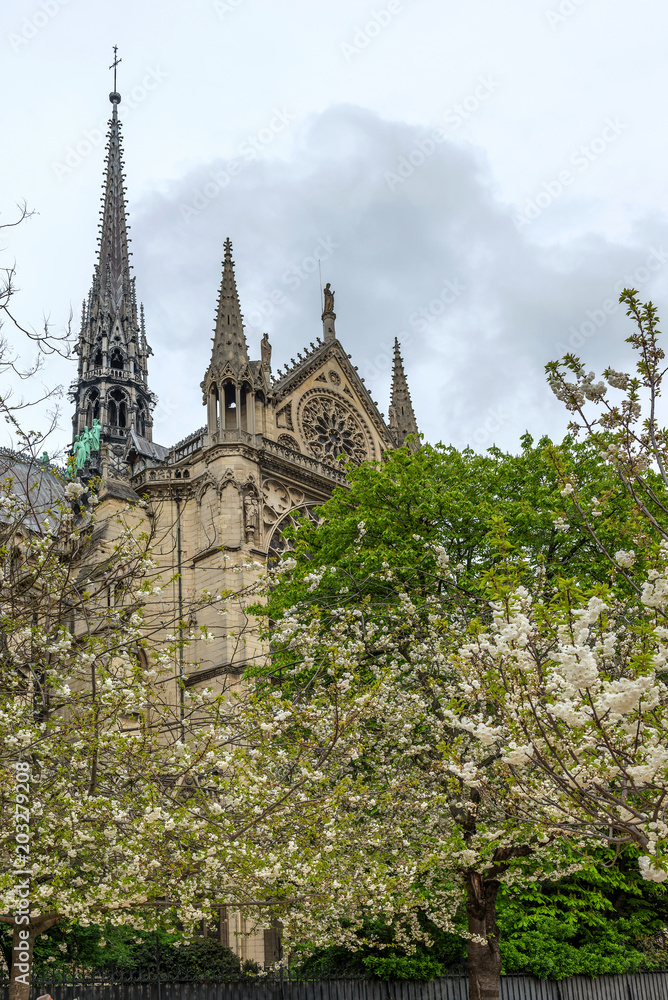 Notre Dame Cathedral, Paris, France, April 14, 2018
Notre Dame Cathedral, Paris, France, April 14, 2018