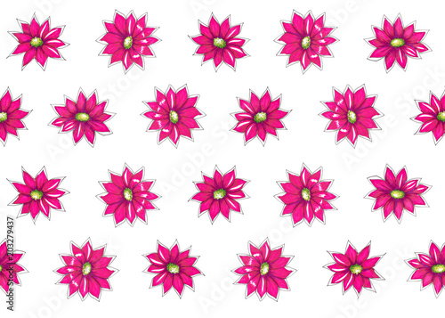 Botanical hand drawn pattern with bright pink flowers