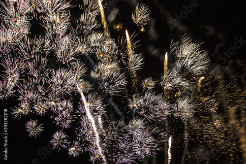 Fireworks in the night sky. Festive salute. Background of fireworks. Abstract pattern.