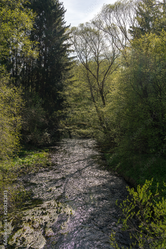 Obraz premium Kleiner Fluss im Harz, Deutschland