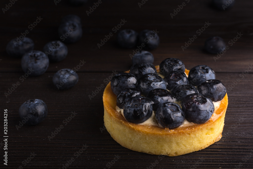 Rustic style blueberry tart on low key dark background Rustic style blueberry tart on low key dark background