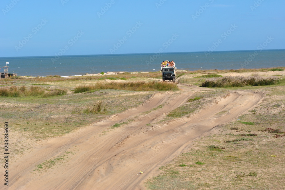 Fototapeta premium cabo polonio - uruguai