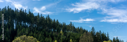 Wald und Himmel Panorama