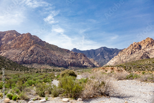 Desert