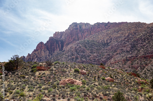 Desert
