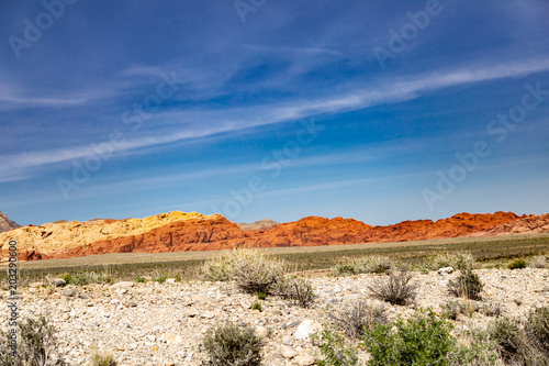 Desert