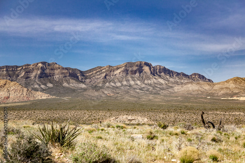 Desert