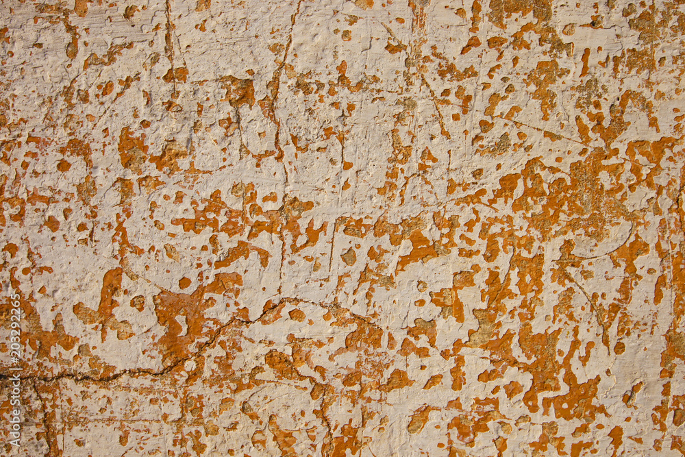 Fototapeta premium Textured Wall Surfaces