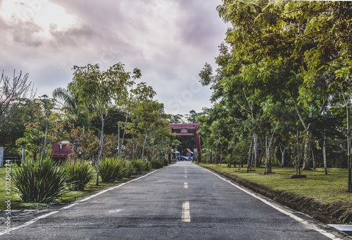 caminho para a meditação
