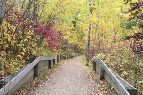 Going Down Autumns Trail, Whitemud Park, Edmonton, Alberta