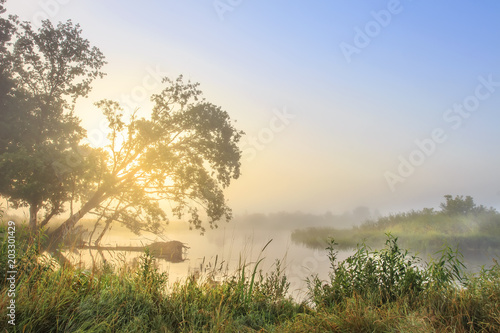 Summer landscape of river bank in early morning at sunrise. Morning nature on river. Scenic view of beautiful river with rising sun behind the trees.