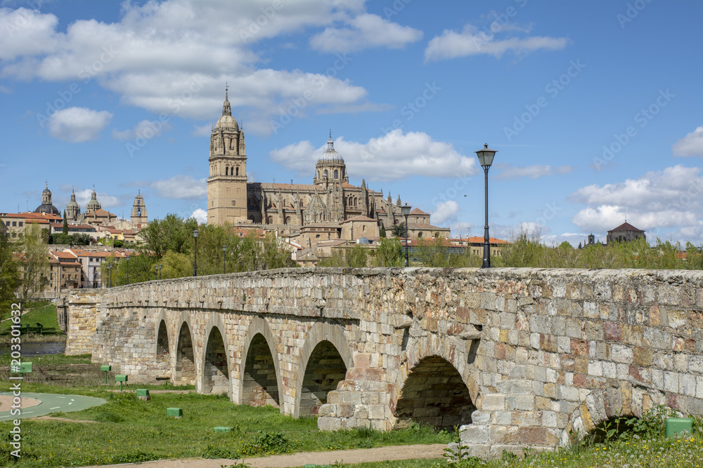 Puente romano y al fondo las catedrales de  Salamanca