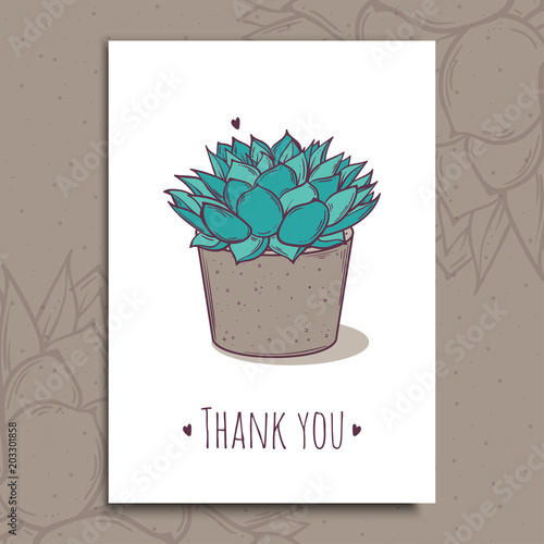 Decoration plant succulent polyphilla. Greeting post card thank you text. Vector illustration.