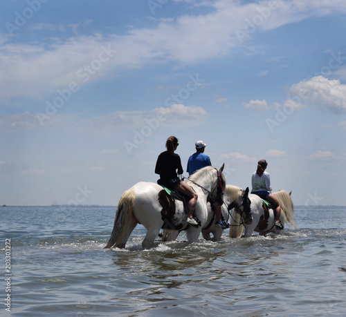 People horseback riding on beach, in the water, blue sky.