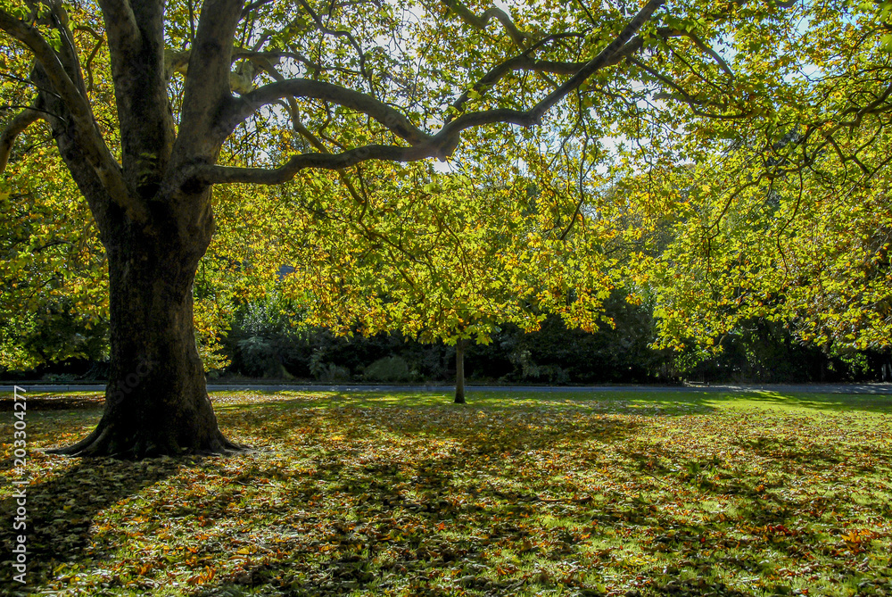 Naklejka premium Dublin, Ireland, 27 October 2012: Saint Stephen's Green Park