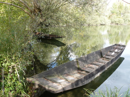 In den Taubergiessen bei Kappel-Grafenhausen