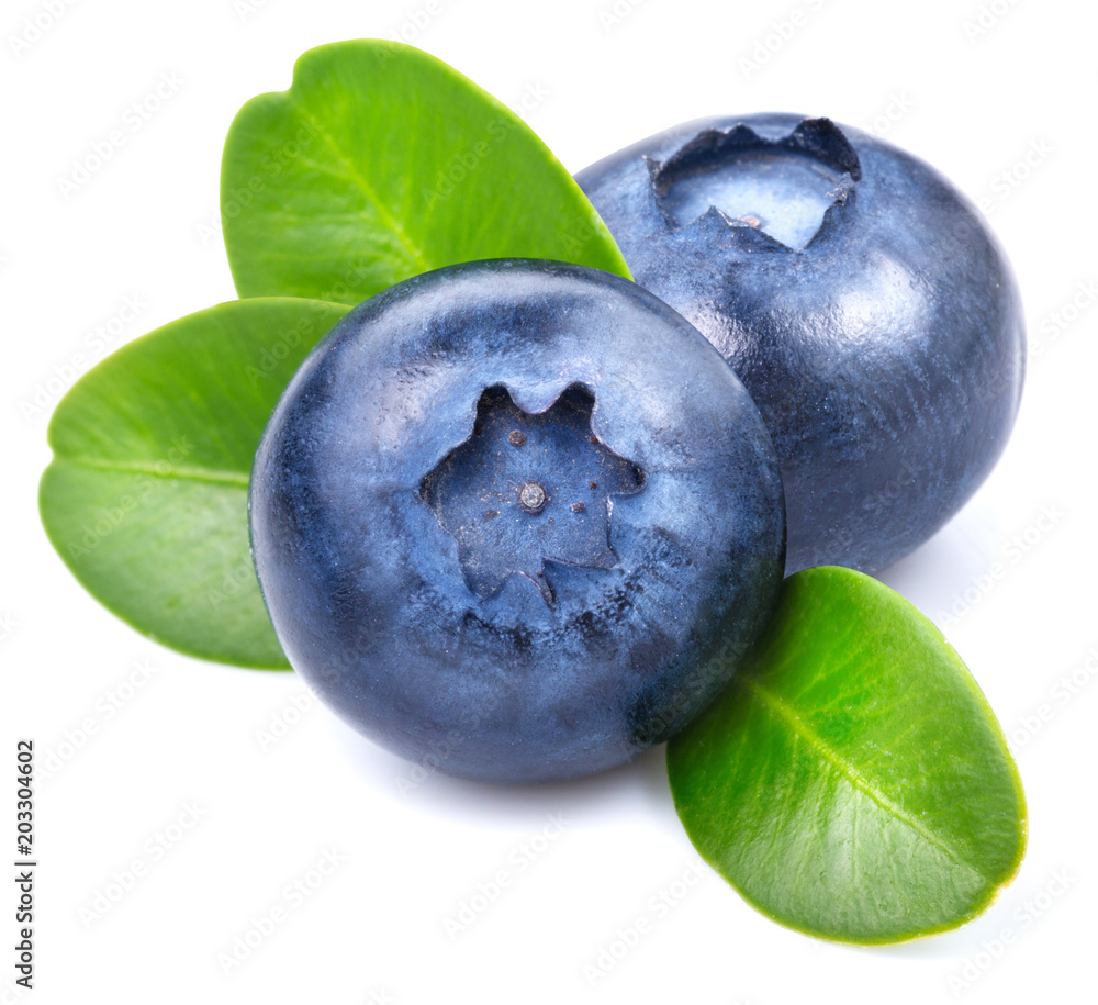 Blueberries isolated on white - obrazy, fototapety, plakaty 