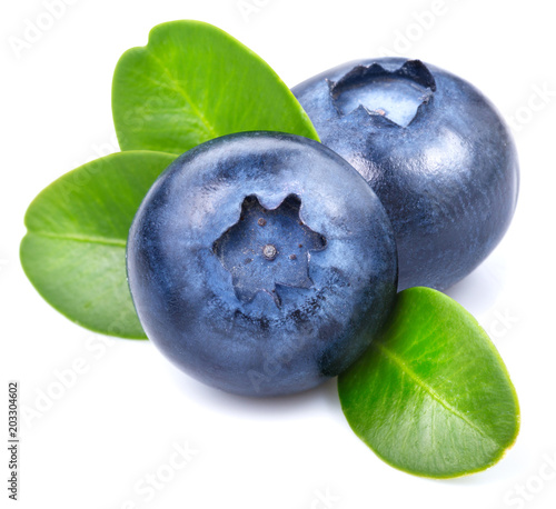 Fototapeta Blueberries isolated on white