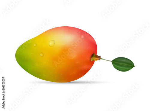 ripe mango on the white background