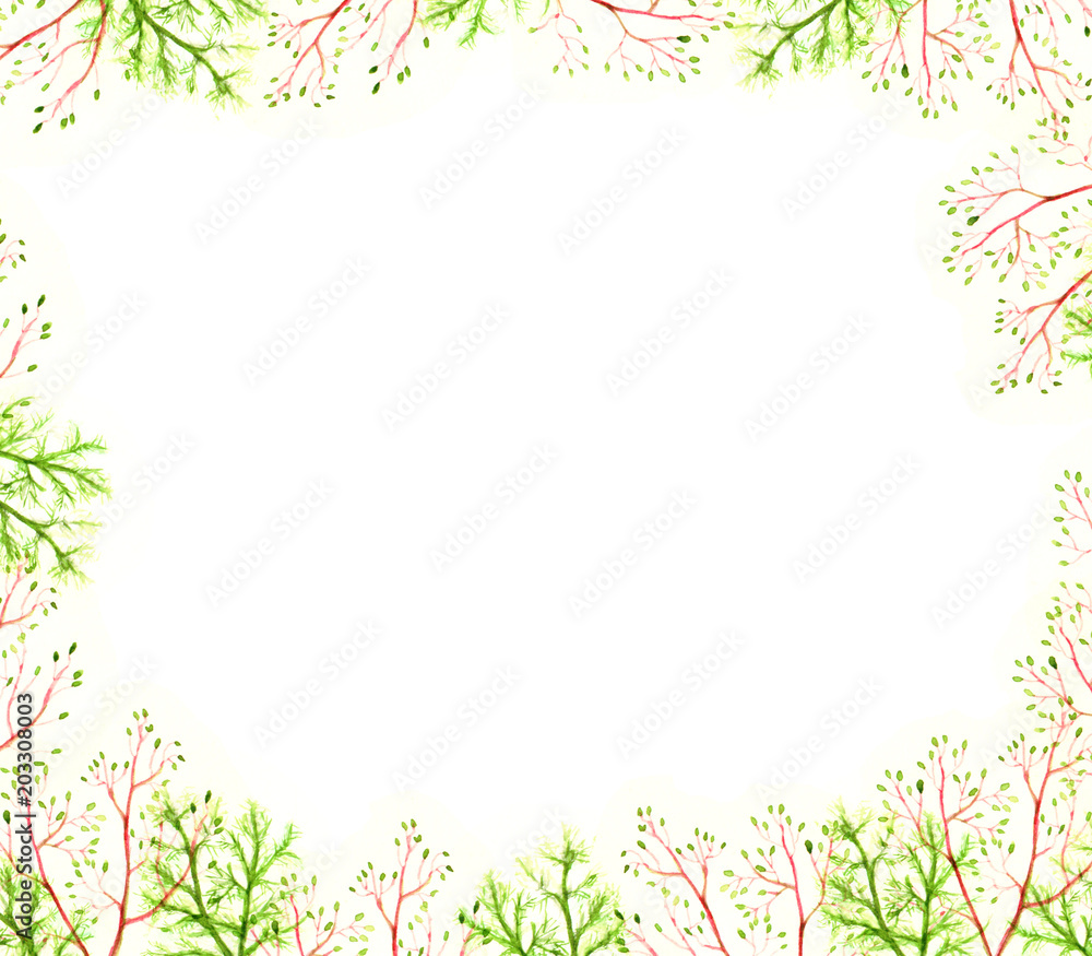 green summer elements nature ornament decoration framing shallow leaves fine elegant branches painted watercolor isolated on white background frame