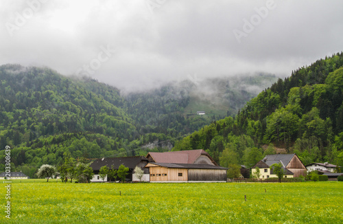 Green fields with the foggy mountains and houses