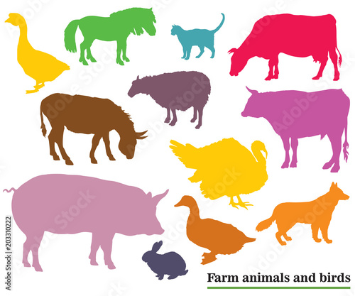 Colorful farm animals and birds silhouettes