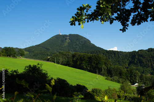 Natur, Sommer, salzburg, Heuberg, friedlich