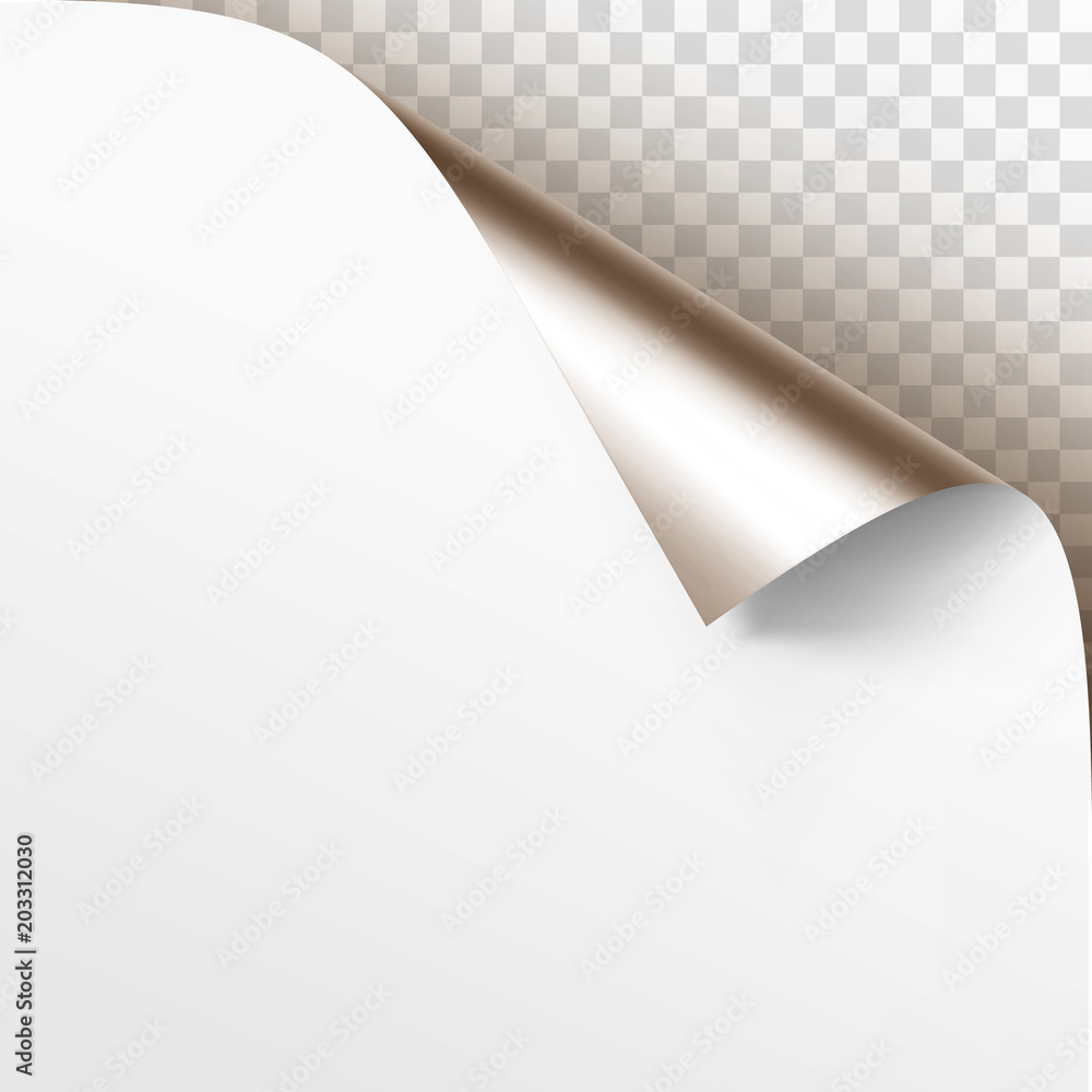Vector Platinum Curled Glossy Foil Corner of White Paper with Shadow Mock up Close up Isolated on Transparent Background Vector Platinum Curled Glossy Foil Corner of White Paper with Shadow Mock up Close up Isolated on Transparent Background
