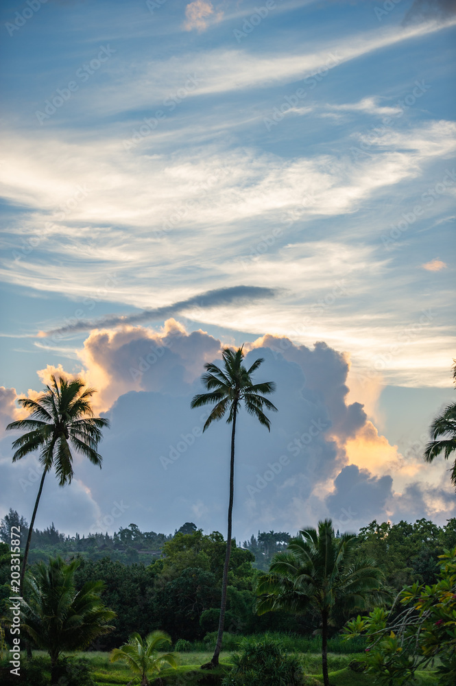 clouds and palm trees hanalei bay kauai hawaii clouds and palm trees hanalei bay kauai hawaii