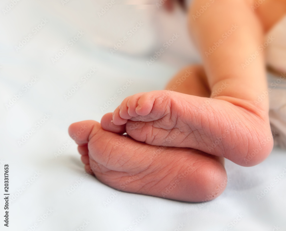Infant heels in mother's and fathers hands Infant heels in mother's and fathers hands