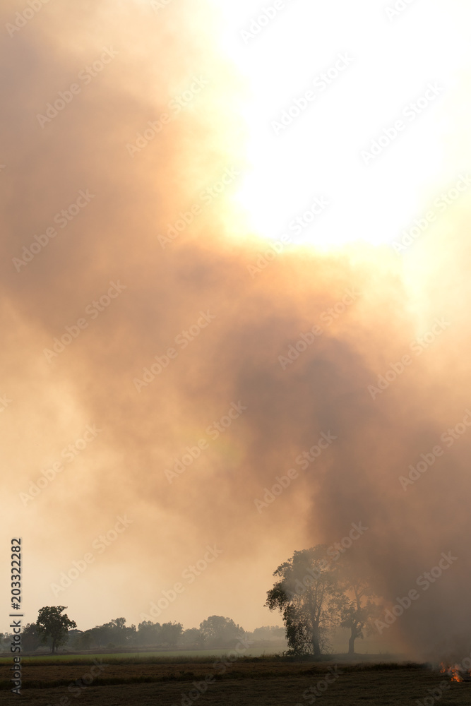 Obraz premium Many smoke from burning stubble.