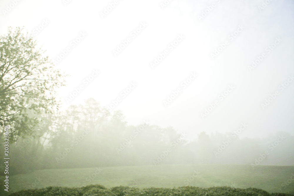 Obraz premium Fog Content Image