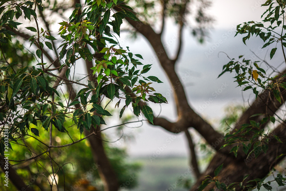 Fototapeta premium Scenic view(KHAO FA CHI VIEWPOINT) of the surrounding area. There are green trees around. Refreshing atmosphere Can travel throughout the day is not hot. Ranong Province, Thailand