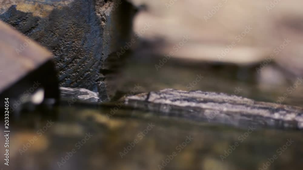 Creek with wood objects Creek with wood objects