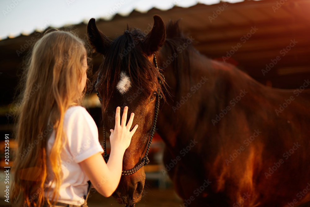 Obraz Girl taking care of her horse