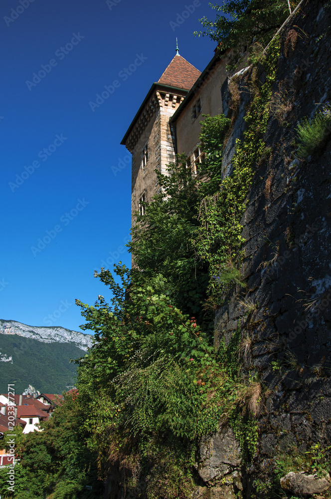 View of the back wall of the castle of Annecy with plants covering the stones, city center of Annecy. Located in the department of Haute-Savoie, Auvergne-Rhone-Alpes region, southeastern France.