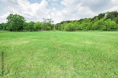 Green grass field in park at city center