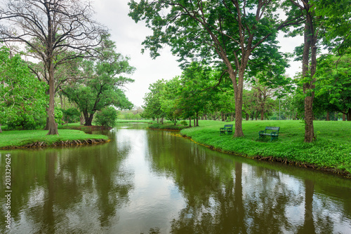 Beautiful landscape in park with green grass field.