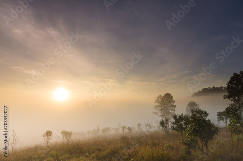 Fototapeta Naklejka Na Ścianę i Meble -  Beautiful sunrise with foggy environment
