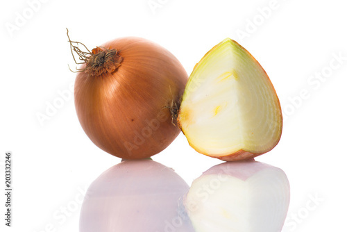 holland onion in white background