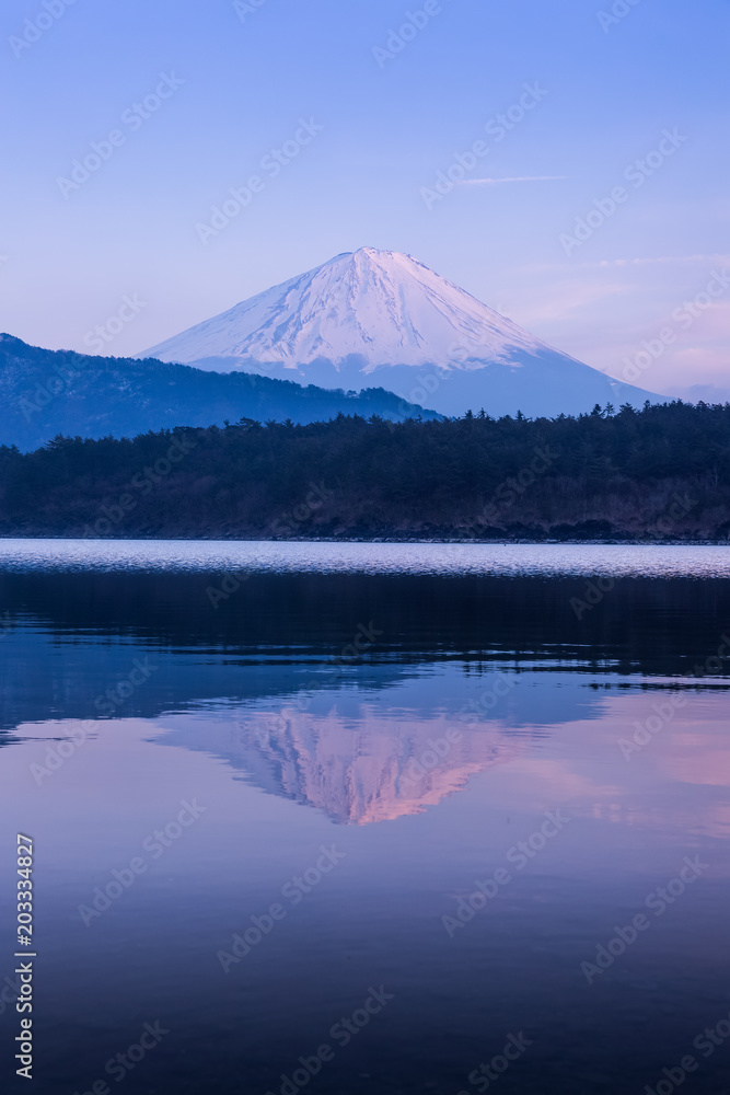 Mountain Fuji and Saiko lake in spring season Mountain Fuji and Saiko lake in spring season