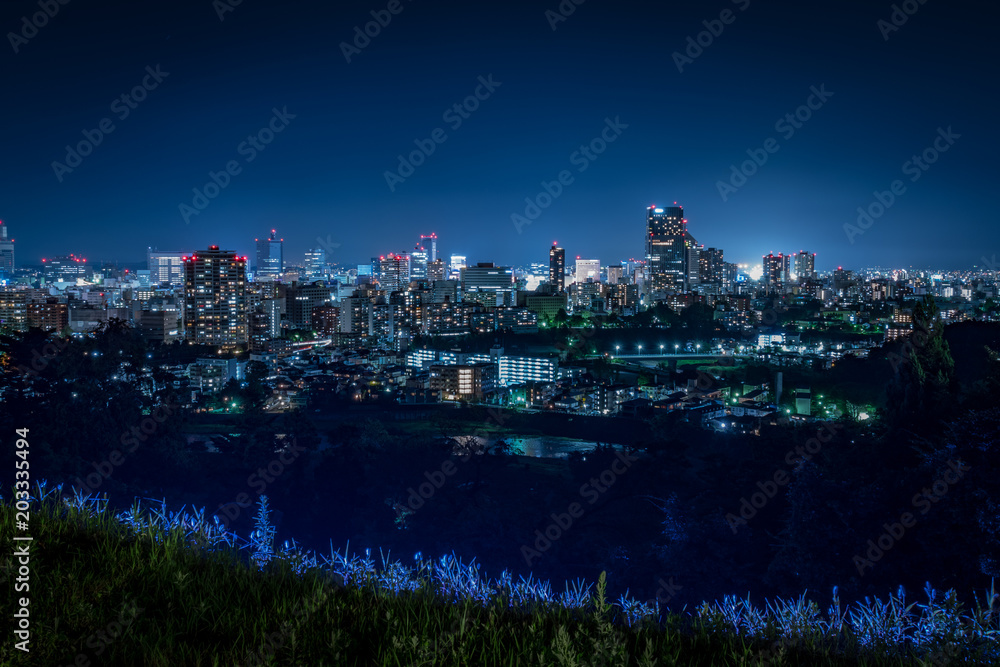 仙台城跡から見る街の夜景