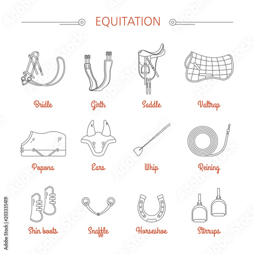Equitation equestrian sport equipment vector icons