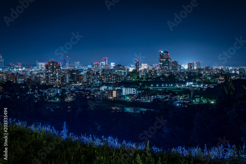 仙台城跡から見る街の夜景
