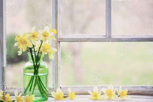 Fototapeta Naklejka Na Ścianę i Meble -  spring flowers on windowsill