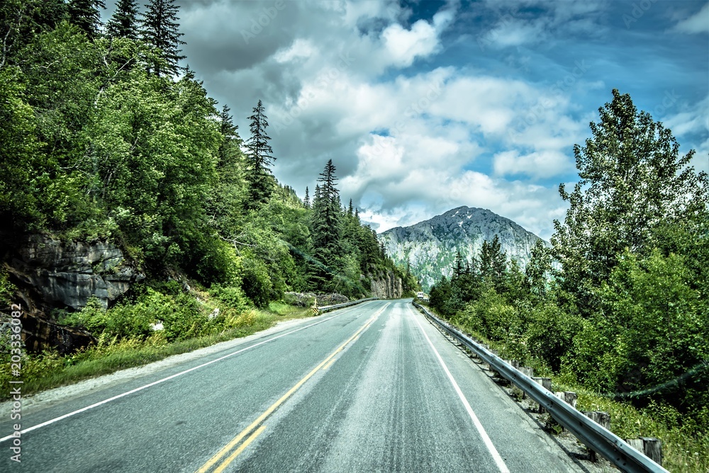 Fototapeta premium The White Pass and Yukon Route on train passing through vast landscape