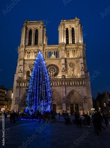 Notre Dame Paris, twilight