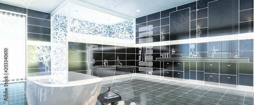 Project of a Luxurious Bathroom (panoramic)