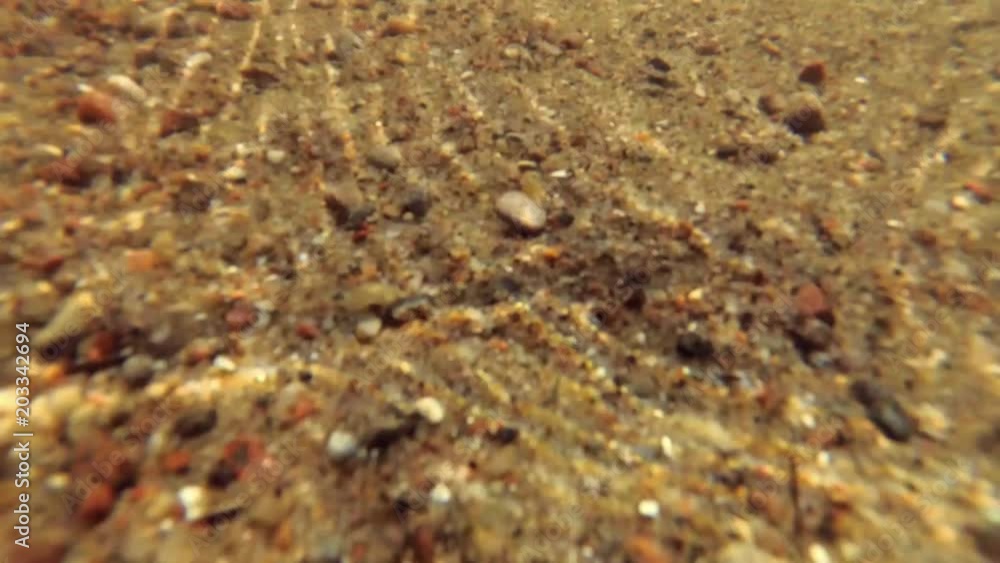 Swimming Underwater in Lake with Sandy Bottom POV Swimming Underwater in Lake with Sandy Bottom POV